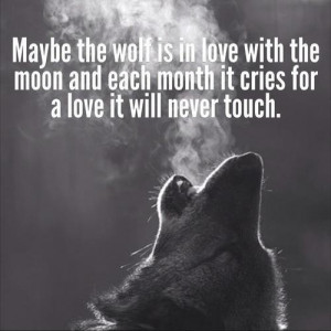 Wolf quotes