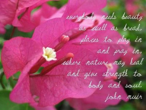 ... nature may heal and give strength to body and soul.