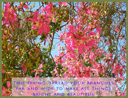 quote spring quotes about spring quotes for spring quotes on spring ...