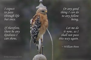 ... let me do it now, as I shall not pass this way again. ~ William Penn
