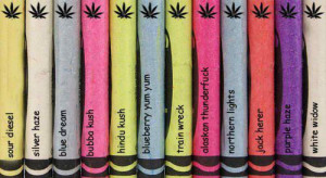 love funny weed cannabis kush pot want bud colors colorful sweet need ...