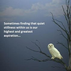 sometimes finding that quiet stillness within us is our highest and ...