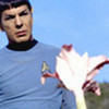 Mr Spock Choose your favourite Spock 39 quote