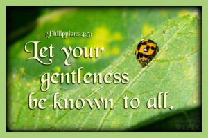is for Gentleness