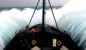 Sea Shepherd Scientific Ship Image