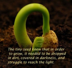 We reap what we sow