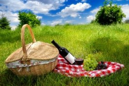 Romantic picnic food ideas & planning guidance