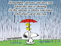 During the storms of life you find your true friends More