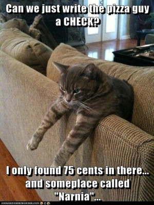funny-cat-pictures-can-we-just-write-the-pizza-guy-a-check-i-only ...