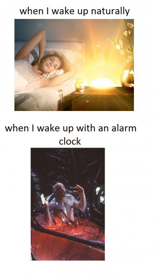 Related When I Wake Up Naturally vs. Wake Up With An Alarm