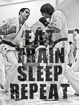 quotes + karate by nadin4e