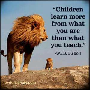 Lion Quotes And Sayings Lions