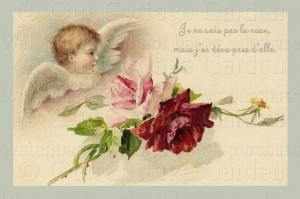 CHERUB w Pink ROSES * French Quote