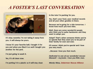 ... waiting, needing a foster home. Foster parents save lives, try it