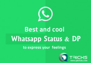 Cool & Funny WhatsApp status Best WhatsApp status love Attitude ...