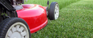 Brook Lawn Service offers grass cutting services