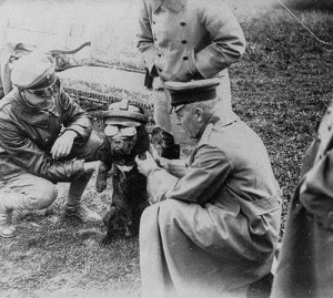 Favorite Great War Animal Photos (Non-Equine)