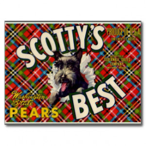 Scotty Stamps Gifts - Shirts, Posters, Art, & more Gift Ideas