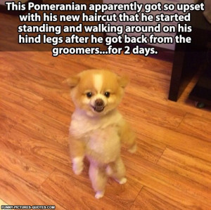 Tired of Your Shit Quotes