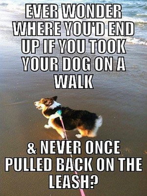 Great quote and a corgi too! :)