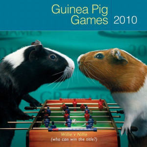 Funny Guinea Pig images