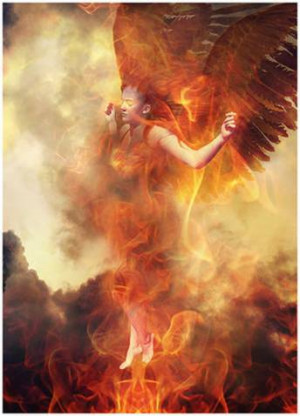 CHAPTER 25 -- THE PHOENIX AN EMBLEM OF OUR RESURRECTION.
