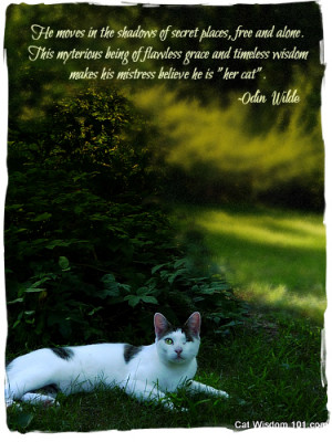 ... Moves In The Shadows Of Secret Places, Free And Alone…. ~ Cat Quotes