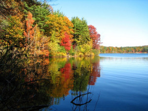 Walden Pond, Concord, Massachusetts