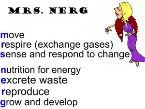 If something is alive, it must be able to do all of these seven things