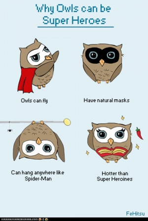 funny pictures - Why Owls Can Be Superheroes