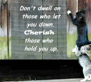 Quote for the day,Don’t dwell on those who let you down
