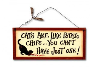 will have this sign. #crazycatlady