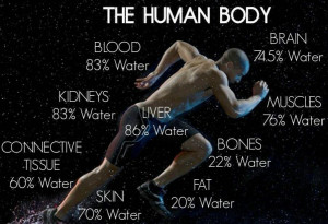 How much water is in the human body, is up to you and how much you put ...