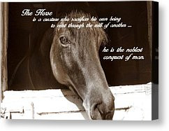 Equine Quotes Image Search Results Picture
