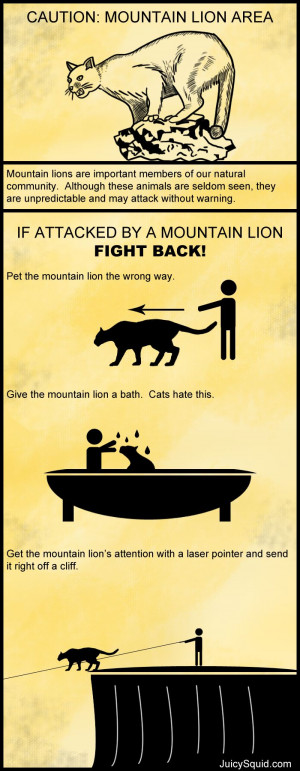 Mountain Lion Survival 101. Did you know that they are the largest ...