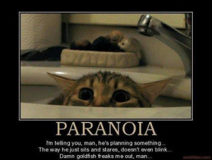 Cat paranoid