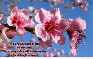 Spring quotes images and wallpapers 2015 2016