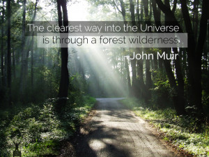 John Muir Trail Quotes