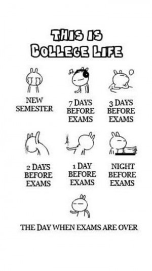 College Students Life Cycle...