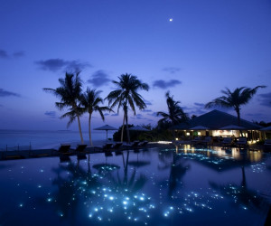 Paradise Island Night Wallpaper for Android
