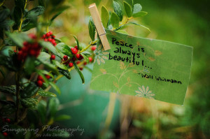 peace,whitman,beauty,nature,quote,life ...
