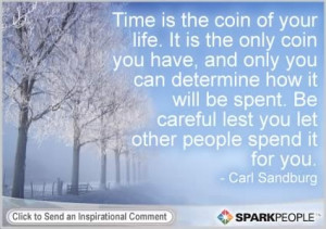 Motivational Quote by Carl Sandburg, My coin, my choice. We must learn ...