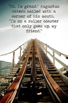 Roller Coaster Quotes