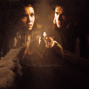 Ian Somerhalder Damon And Elena