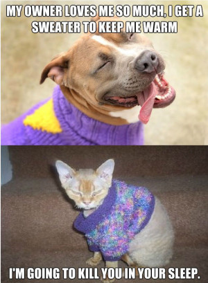 Dog vs Cat sweaters