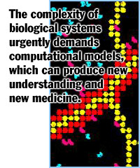 Computational Systems Bioengineering