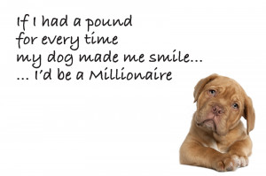 Dog Quotes HD Picture Dowload