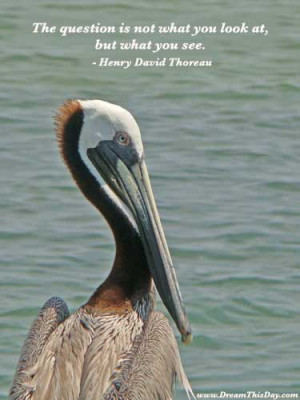 Perspective - Priorities