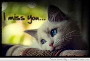 cat, cute, girls, i miss you, love, pretty, quote, quotes, vintage