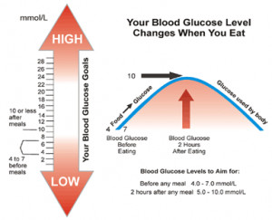 The Normal Glucose Level in Blood